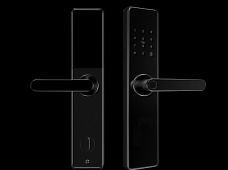 青松沃德-Wi-Fi 指纹锁家用防盗门智能门锁密码锁刷卡电子锁 防磁干扰 防撬 L9-WT (不含锁体，锁体需另购）