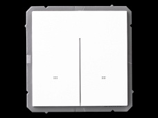 Zigbee 国标智能2位墙壁开关86型 U86K21ND6-ZD